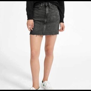 Everlane Raw Hem Denim Skirt